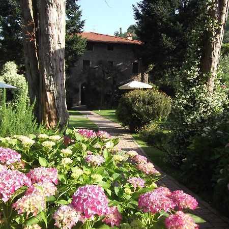 L'Arcadia Pensionat Pietrasanta Exteriör bild