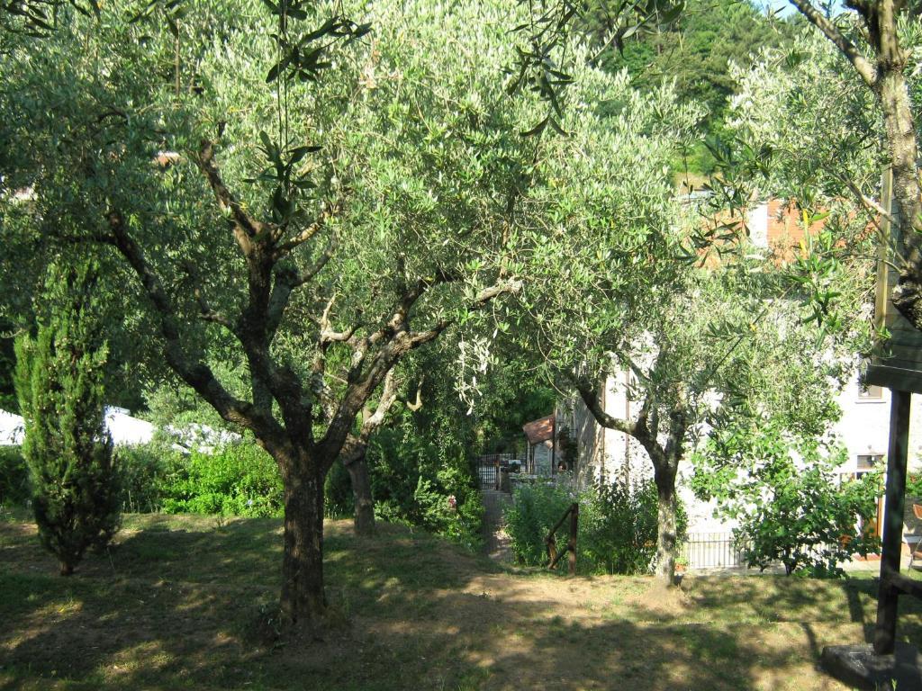L'Arcadia Pensionat Pietrasanta Exteriör bild