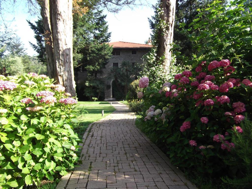 L'Arcadia Pensionat Pietrasanta Exteriör bild
