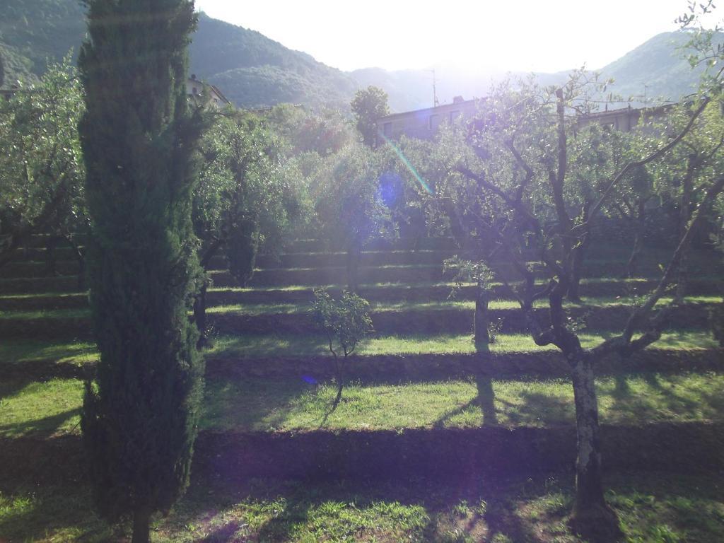 L'Arcadia Pensionat Pietrasanta Exteriör bild